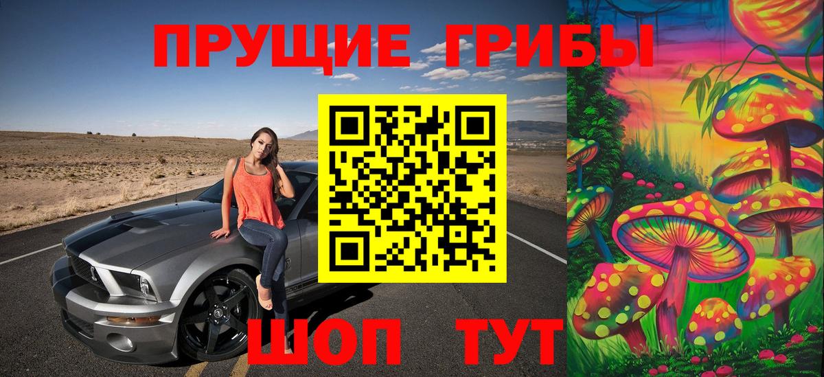 Сальск  Псилоцибиновые грибы мицелий  купить закладку  Вход с VPN  Галлюциногенные грибы MAGIC MUSHROOMS 