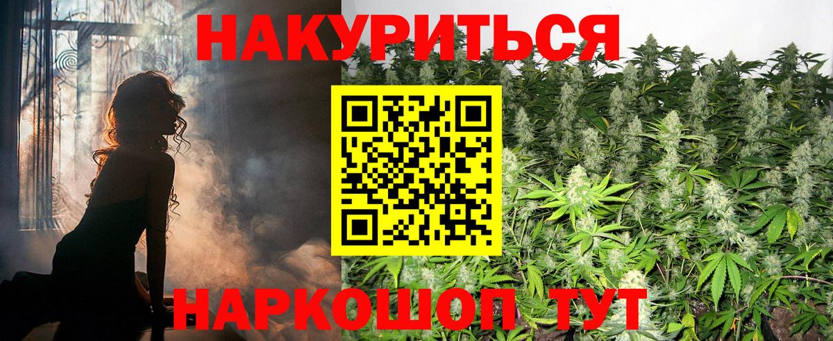 Канабис ГИДРОПОН Сальск
